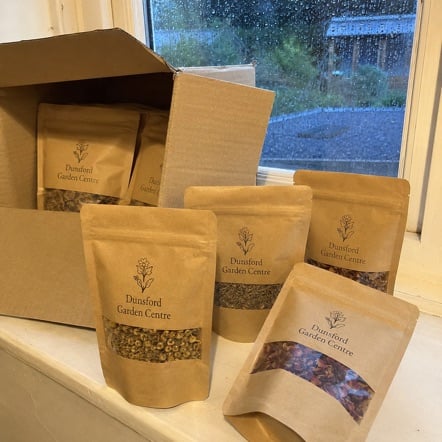 Compostable Eco Pouch with custom branding